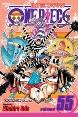 One Piece, Vol. 55: A Ray of Hope, v. 55 цена и информация | Fantastinės, mistinės knygos | pigu.lt