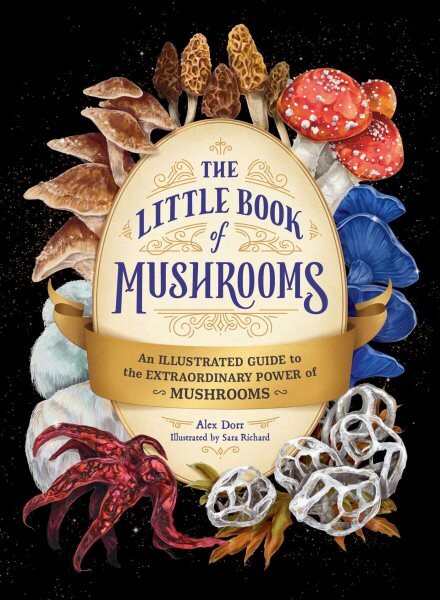 Little Book of Mushrooms: An Illustrated Guide to the Extraordinary Power of Mushrooms цена и информация | Knygos apie sveiką gyvenseną ir mitybą | pigu.lt