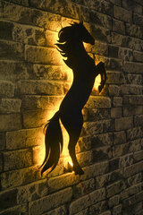 Декоративный настенный светильник Wild Horse, 1 шт. цена и информация | Детали интерьера | pigu.lt