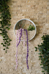 Декорация на стену Plants In Circles, 1 шт. цена и информация | Детали интерьера | pigu.lt