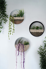 Декорация на стену Plants In Circles, 1 шт. цена и информация | Детали интерьера | pigu.lt