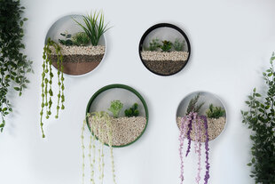 Sienų dekoracija Plants, 1 vnt kaina ir informacija | Interjero detalės | pigu.lt