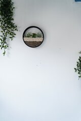 Sienų dekoracija Nature Circle, 1 vnt kaina ir informacija | Interjero detalės | pigu.lt