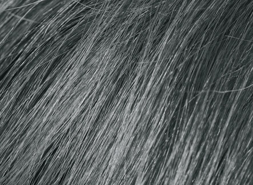 Pilkos spalvos laikinas plaukų tonavimo šampūnas Beardburys Color Shampoo 9G kaina ir informacija | Plaukų dažai | pigu.lt
