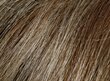 Šviesiai rudos spalvos laikinas plaukų tonavimo šampūnas Beardburys Color Shampoo 5N kaina ir informacija | Plaukų dažai | pigu.lt
