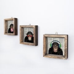 Trijų dalių reprodukcija Beždžionė kaina ir informacija | Reprodukcijos, paveikslai | pigu.lt