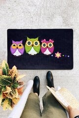 Дверной коврик Three Owls, 40x60 см цена и информация | Придверные коврики | pigu.lt