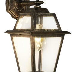 Searchlight уличный, фасадный настенный светильник NEW ORLEANS, 1xE27x60W, IP44, черный и золотой,1522 цена и информация | Уличные светильники | pigu.lt