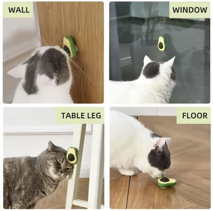 Katžolės rutuliukai katėms Avocado, 2 vnt цена и информация | Žaislai katėms | pigu.lt