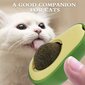 Katžolės rutuliukai katėms Avocado, 2 vnt цена и информация | Žaislai katėms | pigu.lt