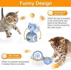 Važinėjantis katės žaislas Smurf kaina ir informacija | Žaislai katėms | pigu.lt