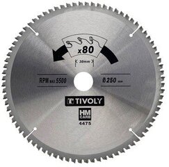 Diskinis pjūklas kietmedžiui Tivoly 250x30 mm kaina ir informacija | Mechaniniai įrankiai | pigu.lt