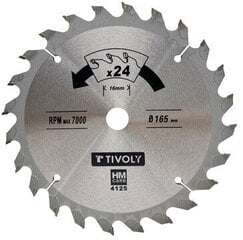 Diskinis pjovimo diskas Tivoly 210x30 mm kaina ir informacija | Mechaniniai įrankiai | pigu.lt