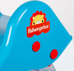 Čiuožykla Fisher Price, mėlyna цена и информация | Горки и лесенки | pigu.lt