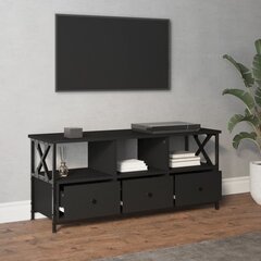 Televizoriaus spintelė vidaXL, juoda kaina ir informacija | TV staliukai | pigu.lt