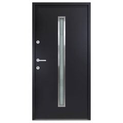 vidaXL Priekinės durys antracito spalvos 100x200cm 3190550 цена и информация | Межкомнатные двери | pigu.lt