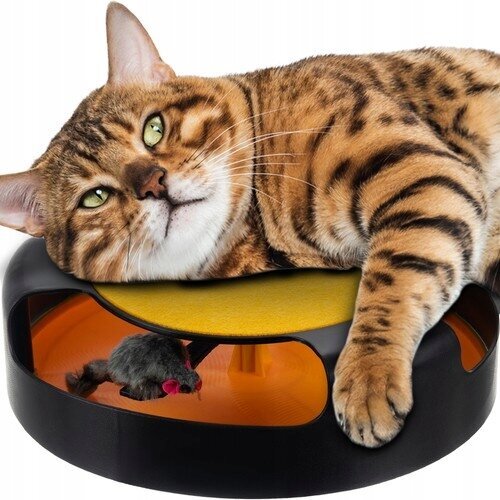 Žaislas katei ratas su pele Iso, 25 cm kaina ir informacija | Žaislai katėms | pigu.lt