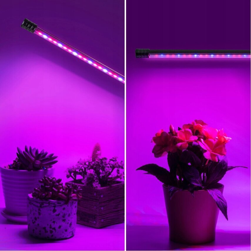 Augalų auginimo lempa 4x LED цена и информация | Daigyklos, lempos augalams | pigu.lt