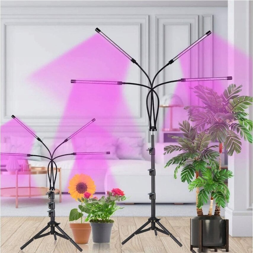 Augalų auginimo lempa 4x LED kaina ir informacija | Daigyklos, lempos augalams | pigu.lt