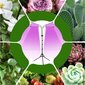 Augalų auginimo lempa 4x LED цена и информация | Daigyklos, lempos augalams | pigu.lt
