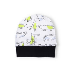шапочка для мальчика ABN-3698-038 цена и информация | Шапки, перчатки, шарфики для новорожденных | pigu.lt