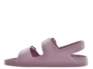 Big mag big star for women's purple ll274744 LL274744 цена и информация | Босоножки женские | pigu.lt