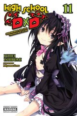 High School DxD, Vol. 11 (light novel) цена и информация | Фантастика, фэнтези | pigu.lt
