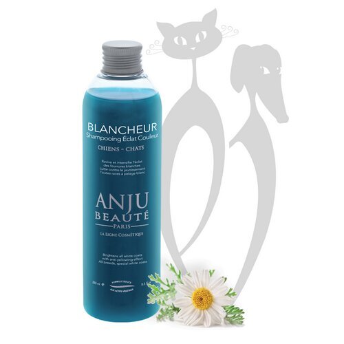 Spalvą paryškinantis šampūnas Anju Blancheur, 250 ml kaina ir informacija | Kosmetinės priemonės gyvūnams | pigu.lt