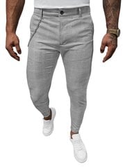 Kelnės vyrams Metir DJ/550172-51549, pilkos цена и информация | Мужские брюки FINIS | pigu.lt