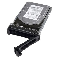 Dell 161-BBRX kaina ir informacija | Vidiniai kietieji diskai (HDD, SSD, Hybrid) | pigu.lt