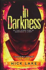 In Darkness цена и информация | Книги для подростков и молодежи | pigu.lt