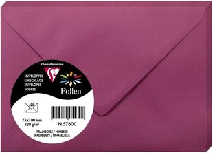 Декоративный конверт Pollen, Clairefontaine, 75x100мм, 120г/м2, малина цена и информация | Конверты, открытки | pigu.lt