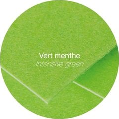 Dekoratyvinis vokas Pollen Clairefontaine, 75x100mm, 120vnt, ryškiai žalias kaina ir informacija | Vokeliai, atvirukai | pigu.lt