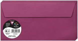 Декоративный конверт Pollen, Clairefontaine, DL (110x220мм), 120г/м2, малина цена и информация | Конверты, открытки | pigu.lt