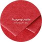 Dekoratyvinis vokas Pollen Clairefontaine, C6, 114x162mm, 120vnt,ryškiai raudonas kaina ir informacija | Vokeliai, atvirukai | pigu.lt