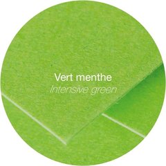 Dekoratyvinis vokas Pollen Clairefontaine, C6, 114x162mm, 120vnt, ryškiai žalias kaina ir informacija | Vokeliai, atvirukai | pigu.lt