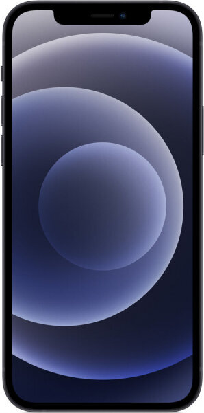 Apple Iphone 12 256 GB Black kaina ir informacija | Mobilieji telefonai | pigu.lt
