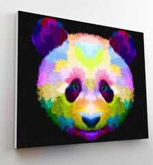 Tapyba pagal skaičius Splat Planet Panda, 30x40 cm kaina ir informacija | Tapyba pagal skaičius | pigu.lt