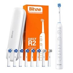 Bitvae R2 цена и информация | Электрические зубные щетки | pigu.lt