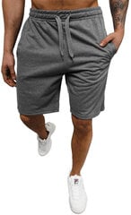 Мужские шорты J.Style 8K101-5/L, серые цена и информация | Мужские шорты | pigu.lt