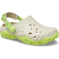 Crocs™ šlepetės vyrams 244550, žalios цена и информация | Мужские шлепанцы, босоножки | pigu.lt