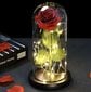 Stabilizuota rožė šviečianti rožė stiklinėje kaina ir informacija | Miegančios rožės, stabilizuoti augalai | pigu.lt