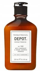 Depot №102 Anti-Dandruff & Sebum Control Shampoo укрепляющий шампунь против перхоти 250 мл цена и информация | Шампуни | pigu.lt