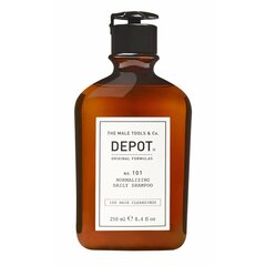 Šampūnas The Male Tools & Co Depot N º101, 250 ml цена и информация | Шампуни | pigu.lt