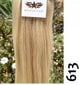 Natūralūs prisegami šviesios spalvos plaukų tresai StarMyHair Remy 6 dalių, 613 nr. цена и информация | Plaukų aksesuarai | pigu.lt