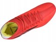 Futbolo batai Adidas X Speedflow.3 FG kaina ir informacija | Futbolo bateliai | pigu.lt