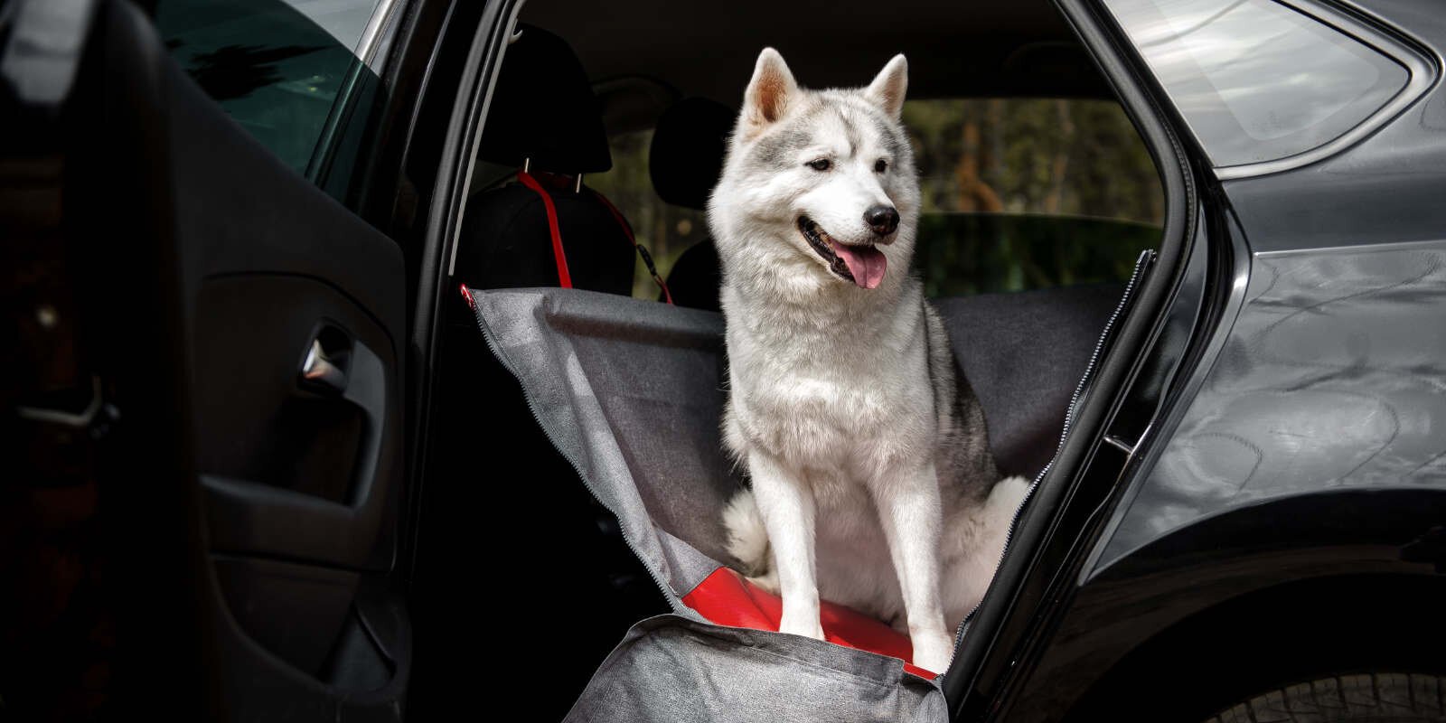 Automobilinis hamakas šunims Keep-n-Trip Lithuania Tripsider XL kaina ir informacija | Kelioniniai reikmenys | pigu.lt