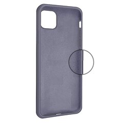 Силиконовый чехол для iPhone 11, фиолетовый цвет цена и информация | Чехлы для телефонов | pigu.lt
