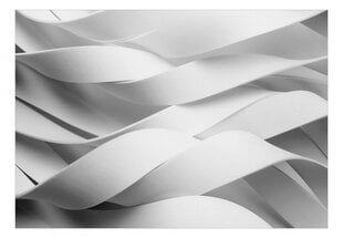 Фотообои с инструментом и клеем - Абстрактные белые линии, 350x256 см цена и информация | Фотообои с инструментом и клеем - Бежевые листья эвкалипта, 400x280 см | pigu.lt