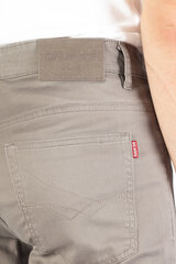 Мужские брюки BIG MORE BM507-34/34, бежевые цена и информация | Мужские брюки | pigu.lt